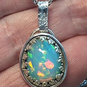 Steve added a photo of their purchase