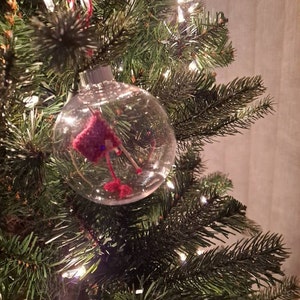 Carol added a photo of their purchase