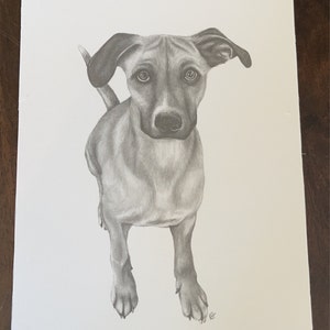 Kendall added a photo of their purchase