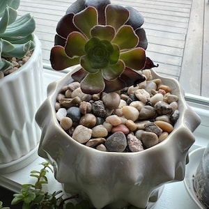 Queena added a photo of their purchase