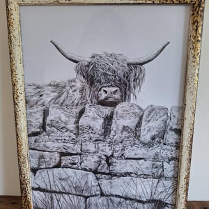 Cat added a photo of their purchase