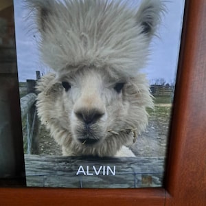 Amy added a photo of their purchase