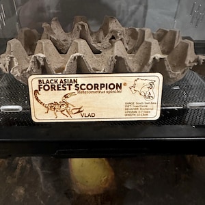 Brooke added a photo of their purchase