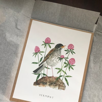 Vermont State Bird Art Print Vermont Hermit Thrush and Red Clover State ...