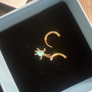 Review photo by Damien for Gold Sea Turtle Huggie Earrings