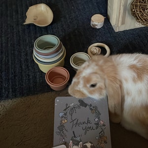 Yas added a photo of their purchase