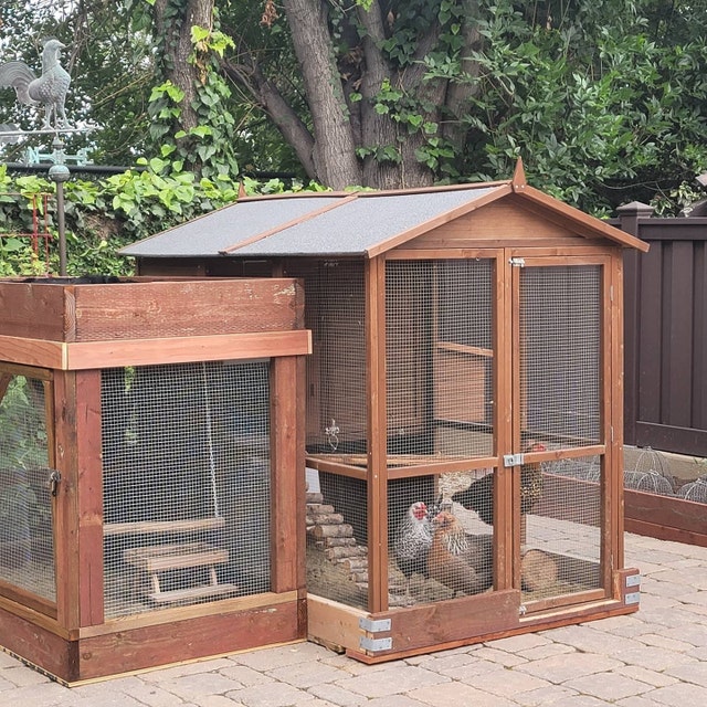 How to cheaply insulate a prefab chicken coop - Misfit Gardening