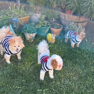 Maria a ajouté une photo de son achat