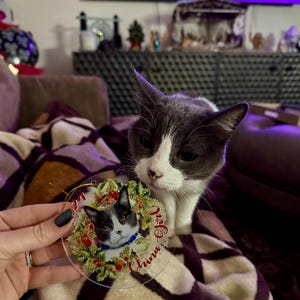 Layra added a photo of their purchase