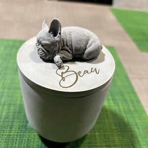 kassie added a photo of their purchase