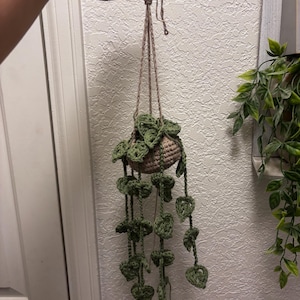 Mariah added a photo of their purchase