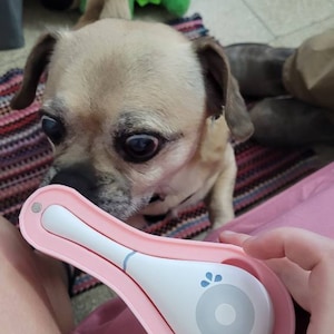Carolina added a photo of their purchase