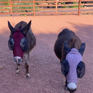 KAREN added a photo of their purchase