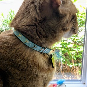 Tom added a photo of their purchase