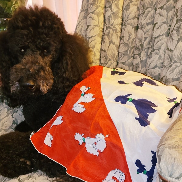 Vintage 1940s 50s Black Silver Rick Rack Patio Dress Circle Skirt Belt ...