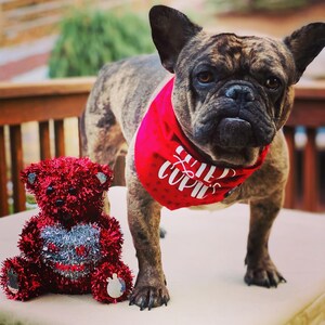 Kimberly added a photo of their purchase