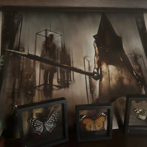 Frankie hat ein Foto des gekauften Artikels hinzugefügt