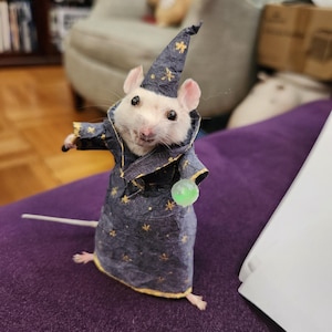 Suzanne added a photo of their purchase