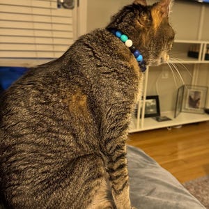 Cathy added a photo of their purchase