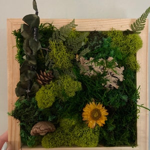 DIY Rectangular Moss Wall Art Kit – NaturelyBox
