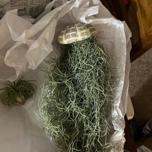 charisse added a photo of their purchase