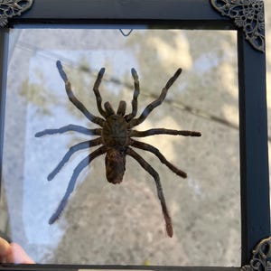 nataly added a photo of their purchase