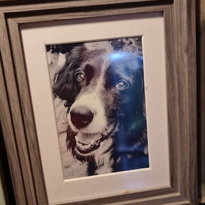 Kelly added a photo of their purchase
