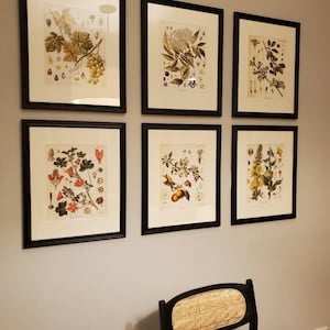 Kelly added a photo of their purchase