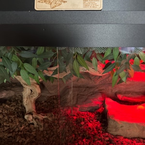 Debra added a photo of their purchase