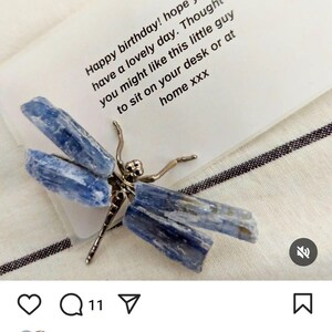 Hayley added a photo of their purchase