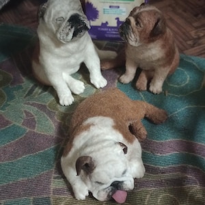 elizabeth added a photo of their purchase