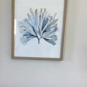 Geryl added a photo of their purchase