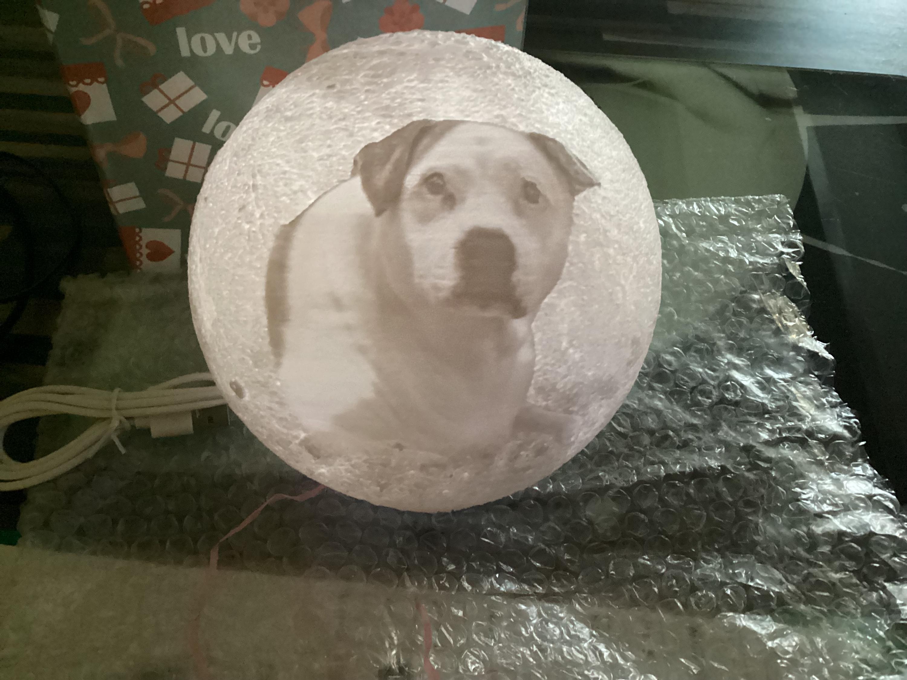 Personalized 3d Photo printed Lunar night Moon Lamp, Custom Photo Lunar Moon Lamp Night Light, Bedside lamp, Couples Gifts,Christmas Gift