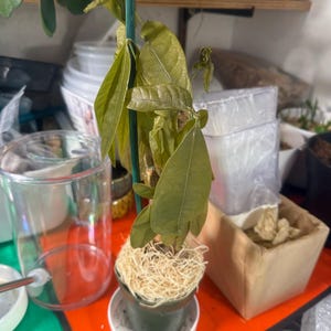 Stephanie added a photo of their purchase