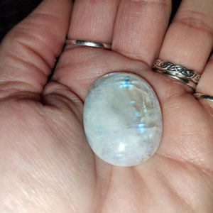 Sheryl added a photo of their purchase