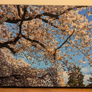 Adam added a photo of their purchase