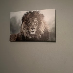 Lavanya ha aggiunto una foto del proprio acquisto