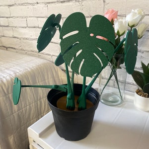 Jennifer added a photo of their purchase