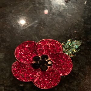 Stunning Robin Red Breast Diamante Brooch Pin Great Gift Mum Sister ...