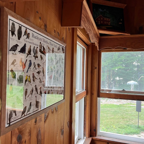 Backyard Birds of New York Bird Identification Poster Divided Into Year ...