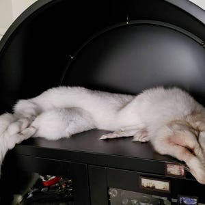 なめし加工された本物のキツネの毛皮、3色から選択可能、特大サイズ