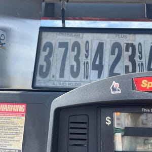 Robert added a photo of their purchase