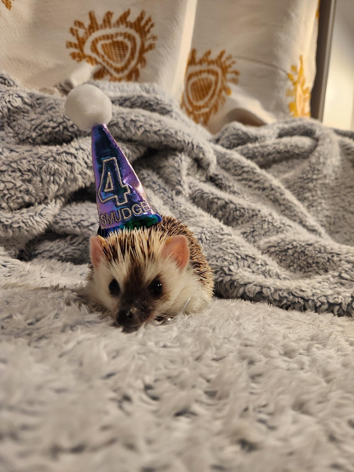 Customer photo of a pet with the First Birthday hat and matching tie or bow