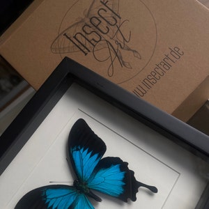 Lea ha añadido una foto de su compra