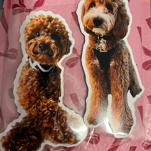 leeanne added a photo of their purchase