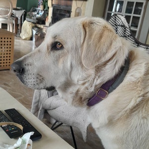 ruby added a photo of their purchase