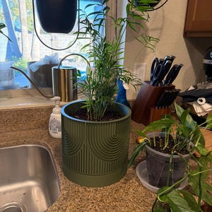 Michelle added a photo of their purchase