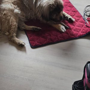 W ha añadido una foto de su compra