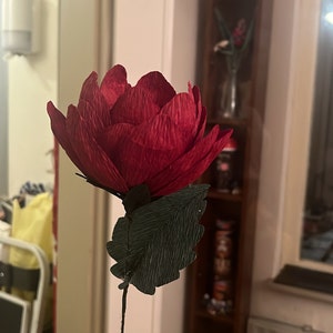 Sannemarijn added a photo of their purchase
