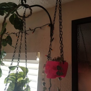 ChelsPierced added a photo of their purchase